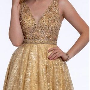 Ball Gown and Prom Dress